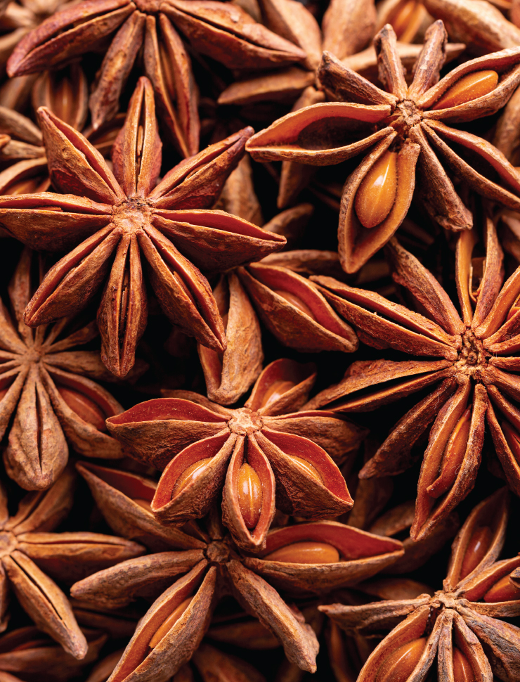 Star Anise